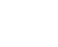 panolin Logo